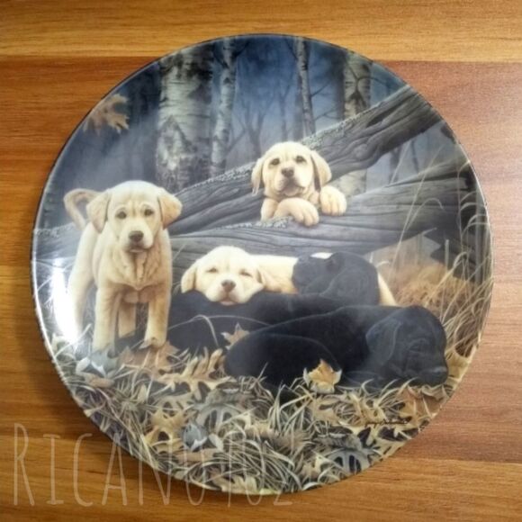 Ceramic Art Dog Plate - Picture 1 of 2
